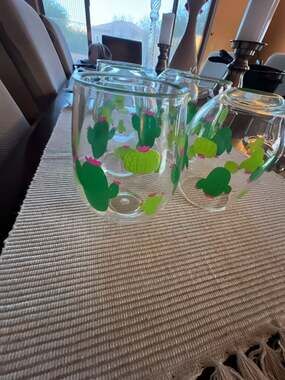 The  Southwest Cactus Stemless Acrylic Glass
 Set of 6